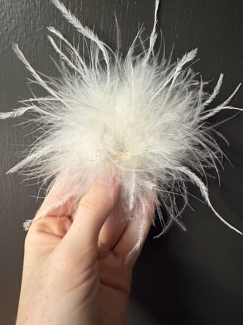 Faux Ostrich Feather Pin with Beads - FREE WITH PURCHASE*